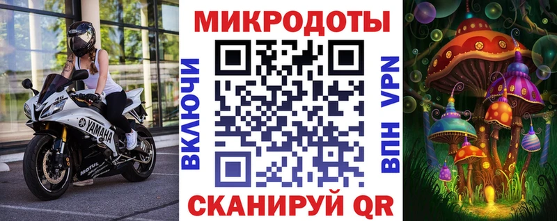 Галлюциногенные грибы MAGIC MUSHROOMS  Чаплыгин 
